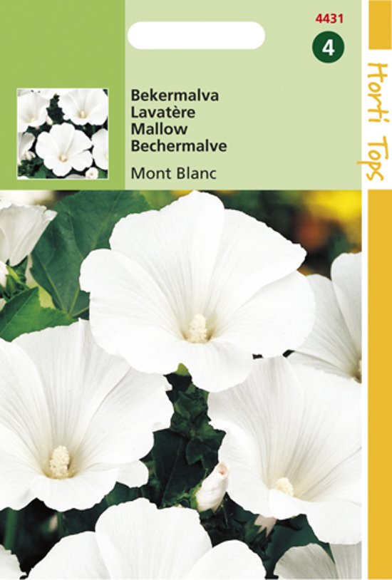 Annual mallow Mont Blanc (Lavatera trimestris) 200 seeds